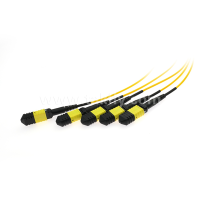 MPO/MTP Fanout Cable PLC Splitter 1x4 สายใยไฟเบอร์ออปติกแบบเดียวสําหรับศูนย์ข้อมูล FTTX