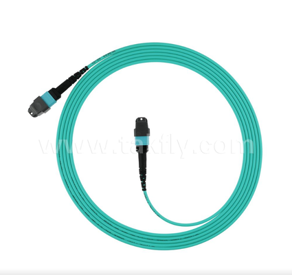MPO/MTP 16-Fiber OM4 Trunk Cable หนาแน่นสูง เสียการใส่ต่ําสําหรับศูนย์ข้อมูลขนาดใหญ่ (40G/100G/400G Ready)