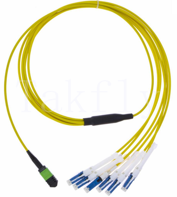 MPO ไปยัง CS Breakout Patch Cord หนาแน่นสูงหลายเส้นใยไปยัง CS Uniboot, 4/8/12/16/24F, ความสูญเสียการใส่ต่ําสําหรับศูนย์ข้อมูล