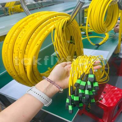 Takfly MPO/MTP Patch Cord 8/12/24 เอกสูงสุด 576 เอก ความสูญเสียต่ํา 500 จังหวะการจับคู่