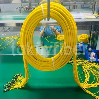 สายแพทช์ Takfly 288-ใย MPO/MTP ความหนาแน่นสูงพิเศษ