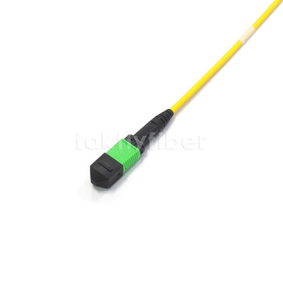 Amphenol ปรับแต่ง 288 สายใย 0.35dB เสียการใส่สูงสุด Single Mode OS2 MPO Trunk Cable สําหรับ Data Center