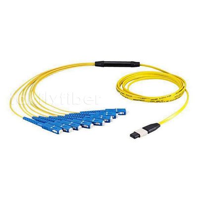 MPO Fan Out Cable MTP F - SC OM3 12/24/48 Core ไฟเบอร์ออปติก Patchcord
