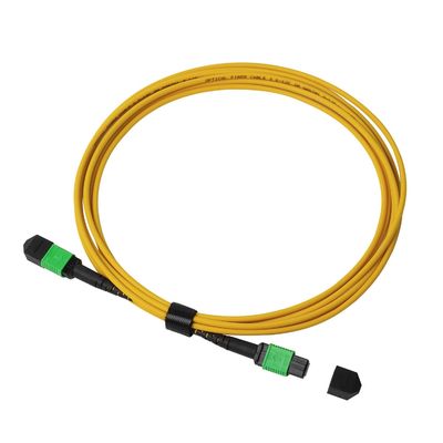 8F 12F 24F ไฟเบอร์ออปติก MTP MPO Fiber Trunk Cable สำหรับ 10G 40G 100G 400G แอปพลิเคชันศูนย์ข้อมูลความหนาแน่นสูง