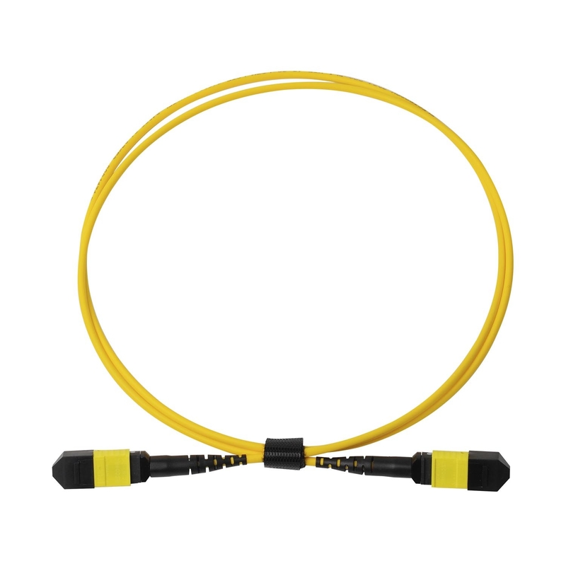 พลีนัม OFNP MPO Patch Cord 1m 3ft MTP-12 APC เพศหญิงสู่ MTP-12 APC เพศหญิง Single Mode OS2