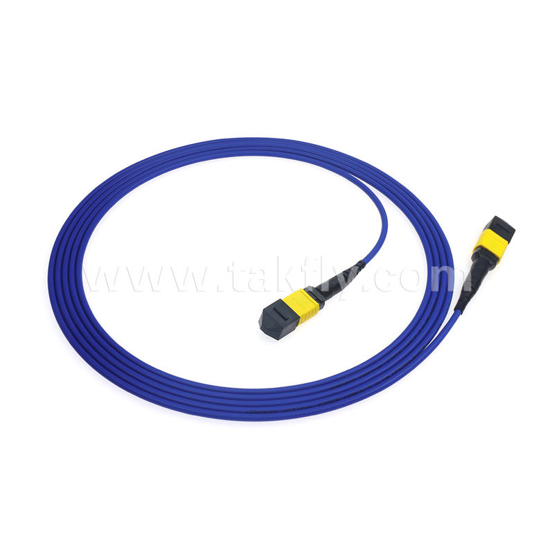 MPO/MTP Patchcord แบรนด์ทรังเคเบิล SM/MM Jumper ไฟเบอร์ออปติกสําหรับศูนย์ข้อมูล AI FTTX Telecom
