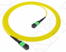 2m 7ft MTP Patch Cord Plenum OFNP MPO Patch Cord Cable 3.0mm MTP 12F APC หญิงเอลิท