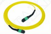 MTP-12 APC เพศหญิงสู่ MTP-12 APC เพศหญิง SingleMode OS2 Plenum OFNP ประเภท A MPO แพทช์คอร์ด