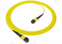MTP-12 APC เพศหญิงสู่ MTP-12 APC เพศหญิง SingleMode OS2 Plenum OFNP ประเภท A MPO Patch Cord 5m 16ft