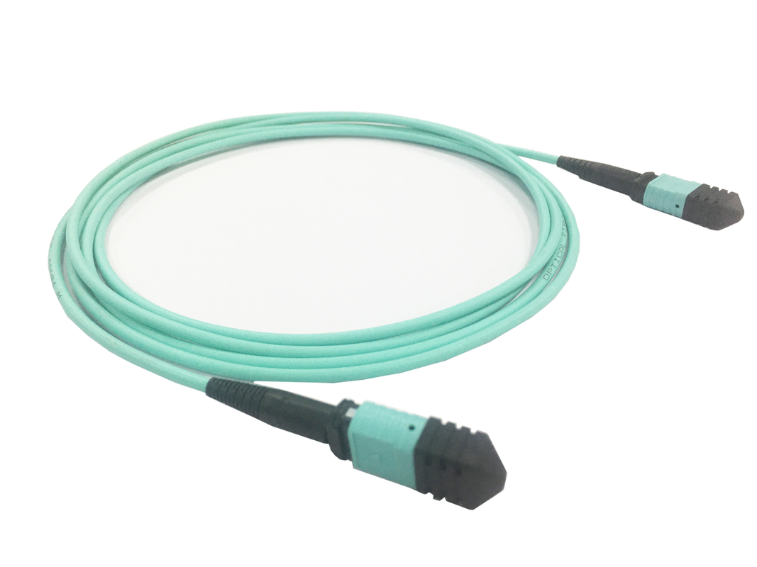Elite Multimode OM3 50/125, Plenum OFNP ประเภท B MPO Patch Cord 3m 10ft MTP-12 PC หญิง ไปยัง MTP-12 PC หญิง