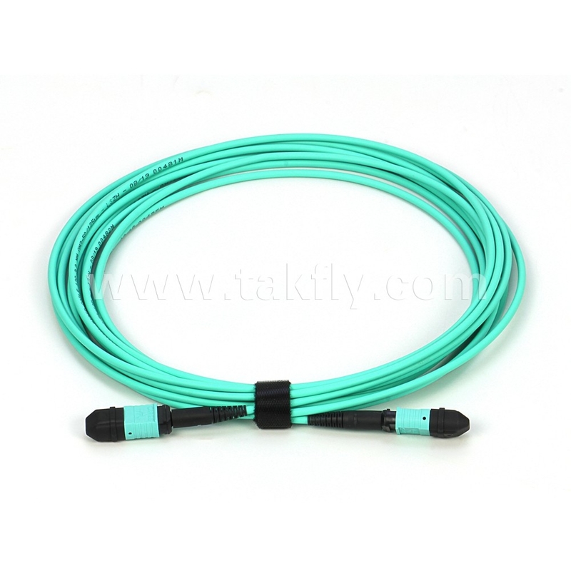 Elite Multimode OM3 50/125 Plenum OFNP ประเภท B MPO Patch Cord 30m 100ft MTP-12 PC หญิง ไปยัง MTP-12 PC หญิง