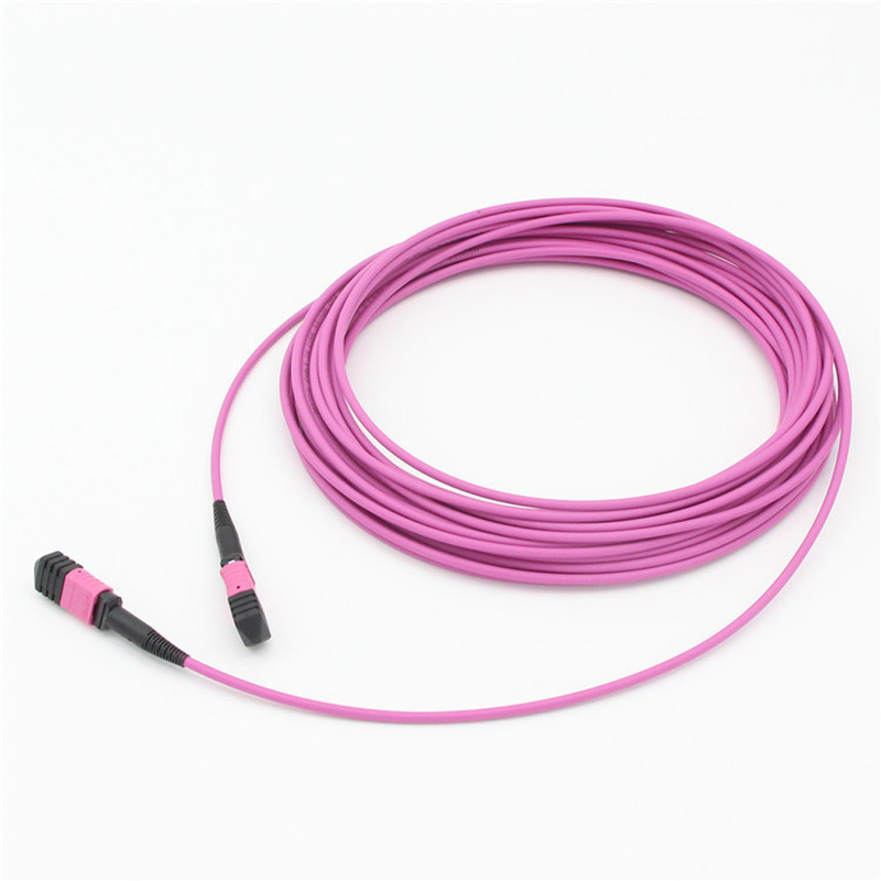 Elite Multimode OM4 50/125, Plenum OFNP ประเภท B MPO สายพับ 1m 3ft MTP-12 PC หญิงไป MTP-12 PC หญิง
