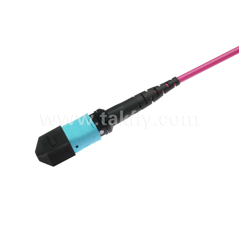 Elite Multimode OM4 50/125, Plenum OFNP Type B MPO patch cord 3m 10ft MTP-12 PC เพศหญิงสู่ MTP-12 PC เพศหญิง