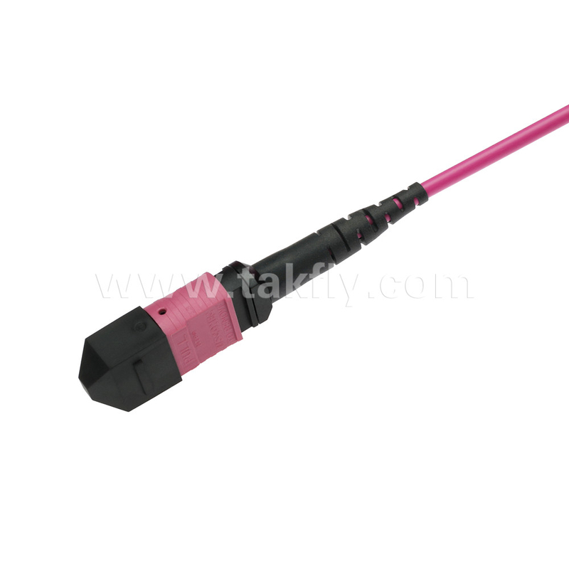 Elite Multimode OM4 50/125, Plenum OFNP ประเภท B MPO Patch Cord 5m 16ft MTP-12 PC หญิง ไปยัง MTP-12 PC หญิง