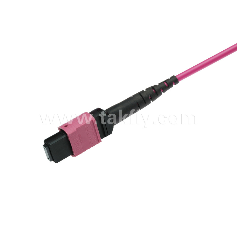 Elite Multimode OM4 50/125 Plenum OFNP ประเภท B MPO Patch Cord 3.0mm Cable 10m 33ft MTP-12 PC เพศหญิงสู่ MTP-12 PC เพศหญิง