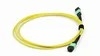 สายแพทช์คอร์ดไฟเบอร์ MPO-MPO สำหรับดาต้าเซ็นเตอร์ 8-24 คอร์
