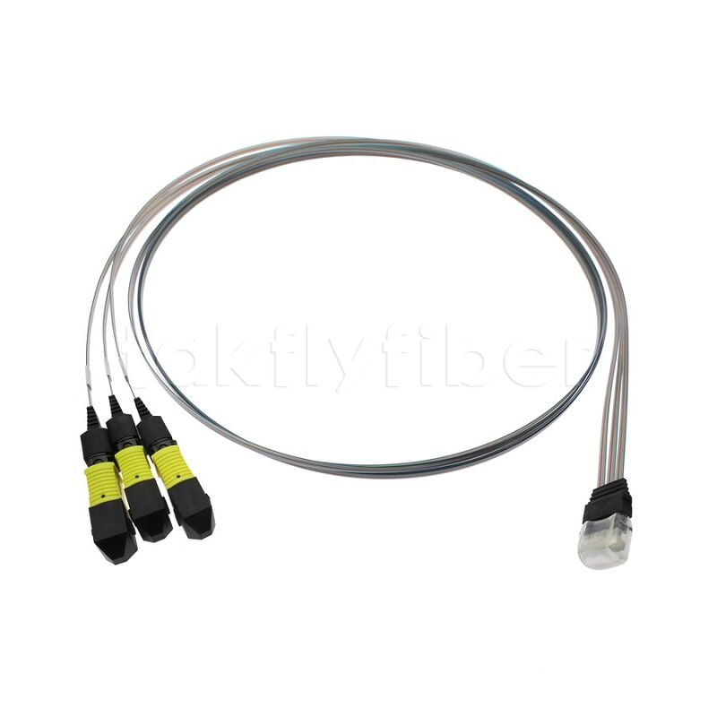 3x12F MTP - ชุดประกอบ FA ไฟเบอร์อาร์เรย์ 36 ช่อง พร้อมอัตราการส่งผ่านสูง การใช้พลังงานต่ำ และความเสถียรและความน่าเชื่อถือสูง