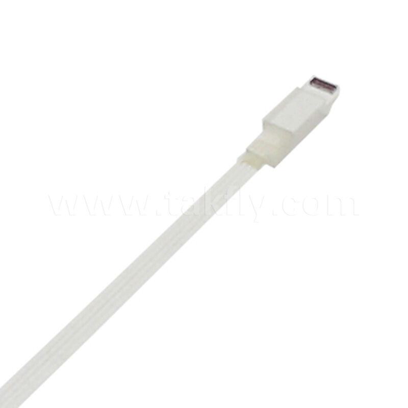ชุดประกอบ FAU (Fiber Array Unit) พร้อมเลนส์อาร์เรย์ขนาดเล็ก ติดตั้งด้วยความแม่นยำสูงและปรับความยาวได้