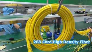 288F สายแพทช์ MPO/MTP